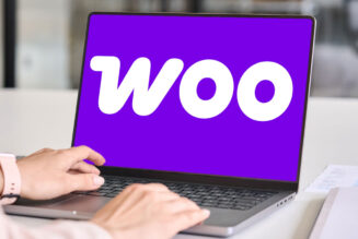 woocommerce-rebrand-offers-lessons-for-gaining-competitive-edge-via-@sejournal,-@martinibuster
